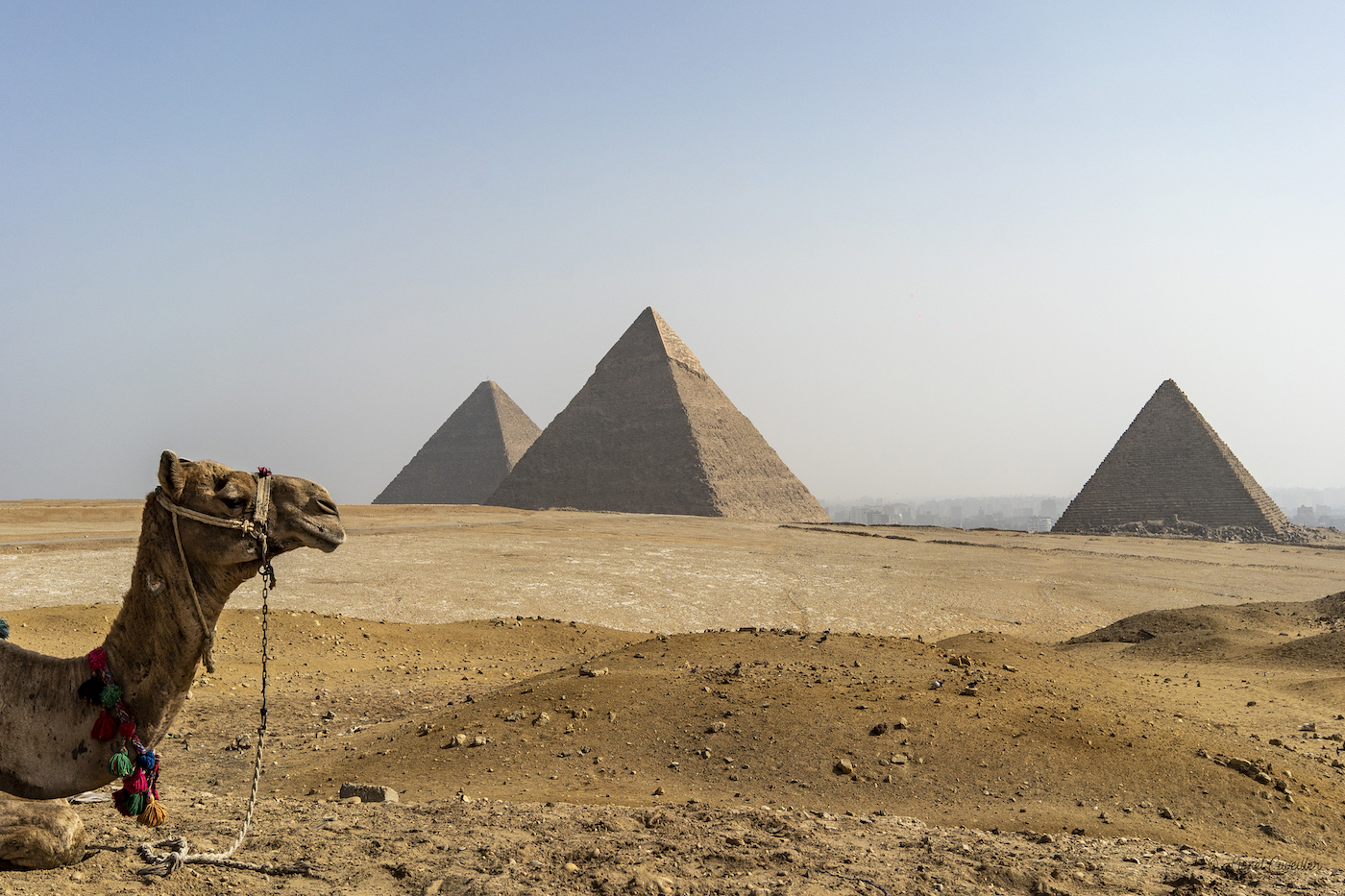 Morning Pick-up and Giza Pyramids Tour