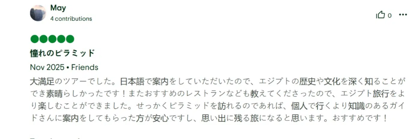 エジプト ツアー 添乗 員 同行